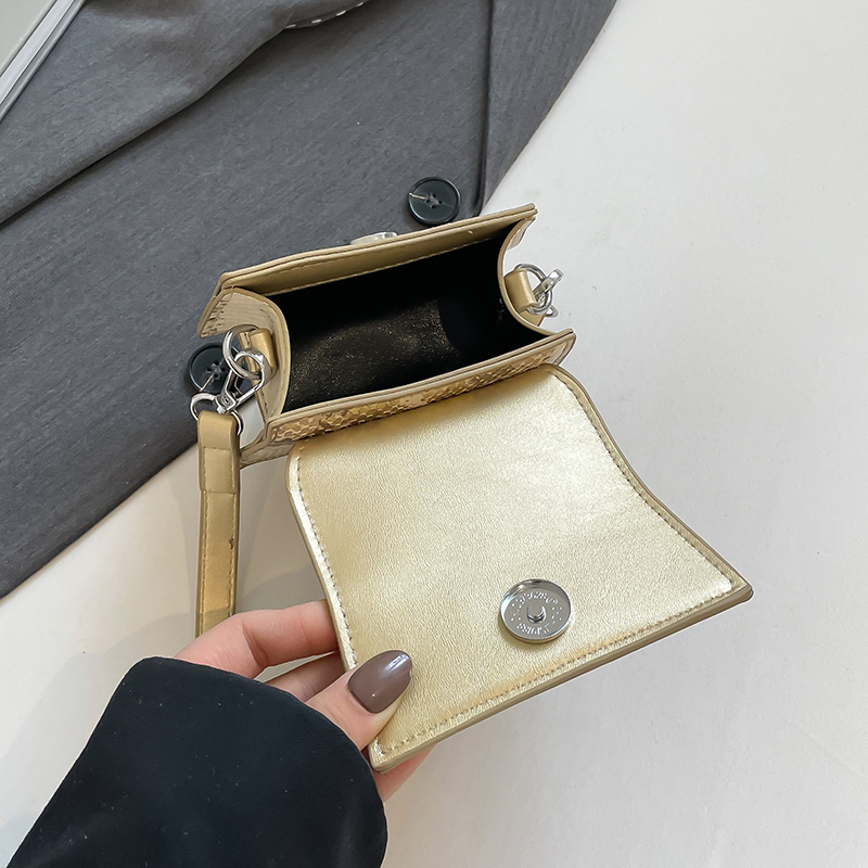 Merk Dames Zilver Chic Crossbo - Luxury Bags Jacquemus recensie en prijs